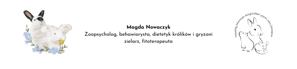 Magda Nowaczyk behawiorysta dietetyk królików i gryzoni 