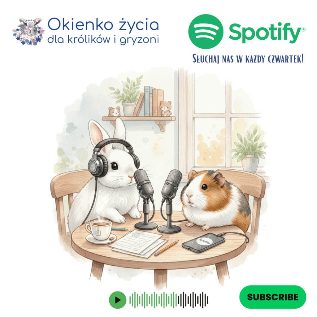 Okienkowe podcasty