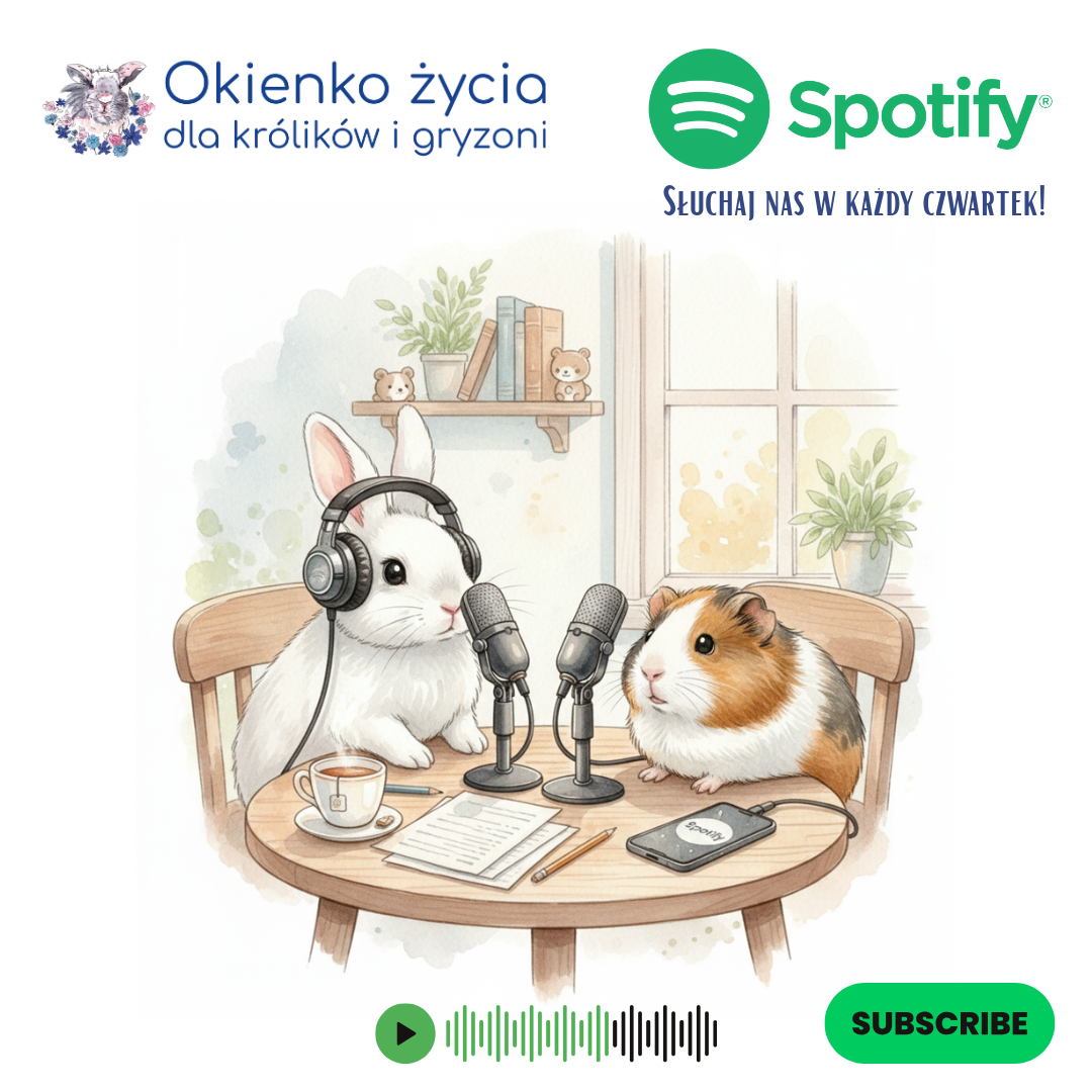 Okienkowe podcasty